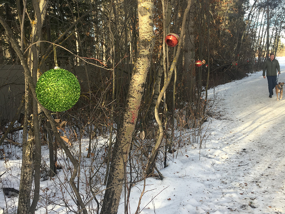 A person walks their dog on the snowey trail where Christmas ornaments are hung on the trees of Waskasoo Park