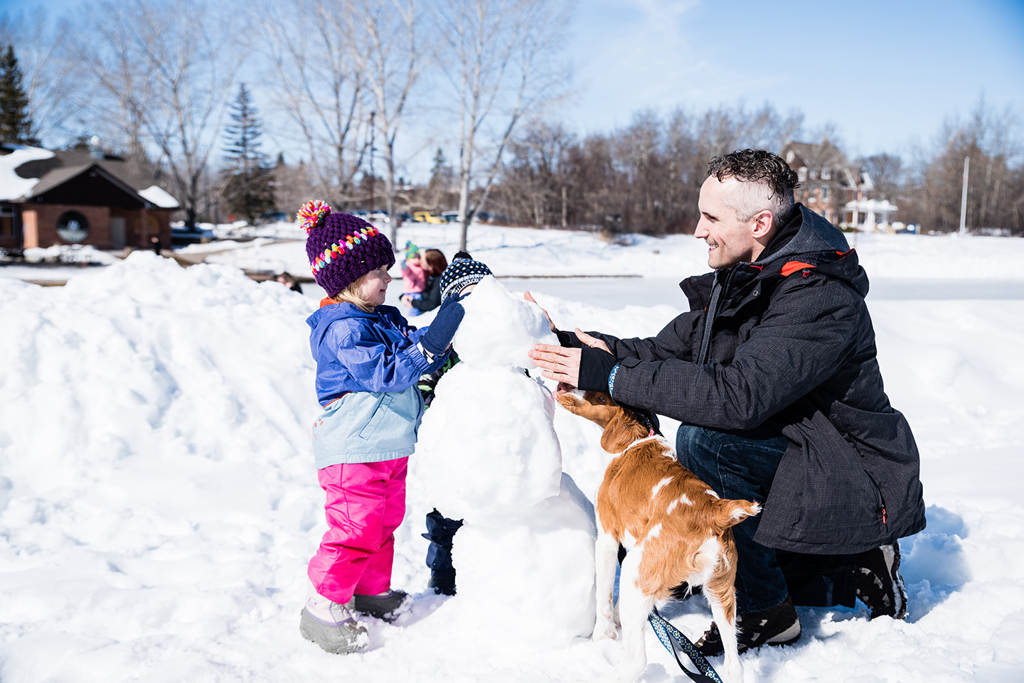 Man and child making a snowman with their brown and shite dog