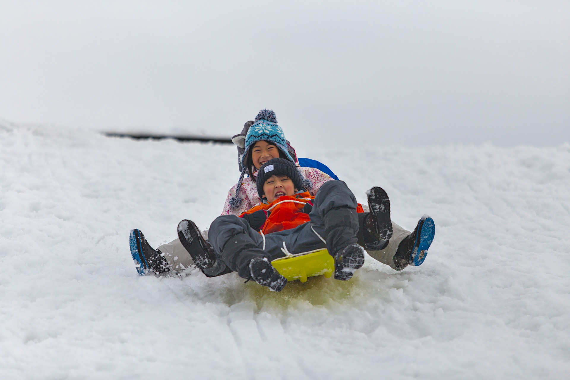 Children Tobogganing in Red Deer