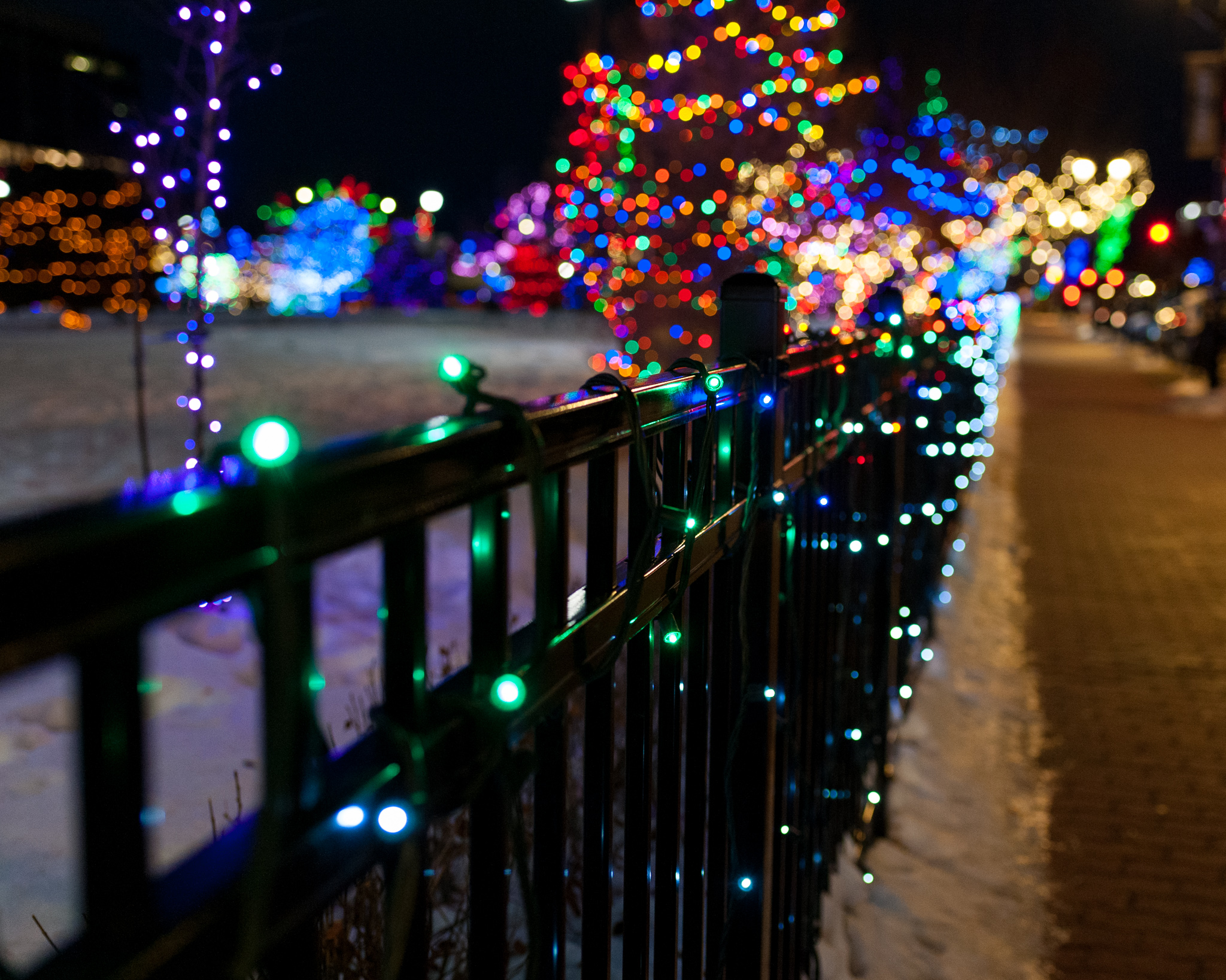 Image of Christmas lights downtown Red Deer