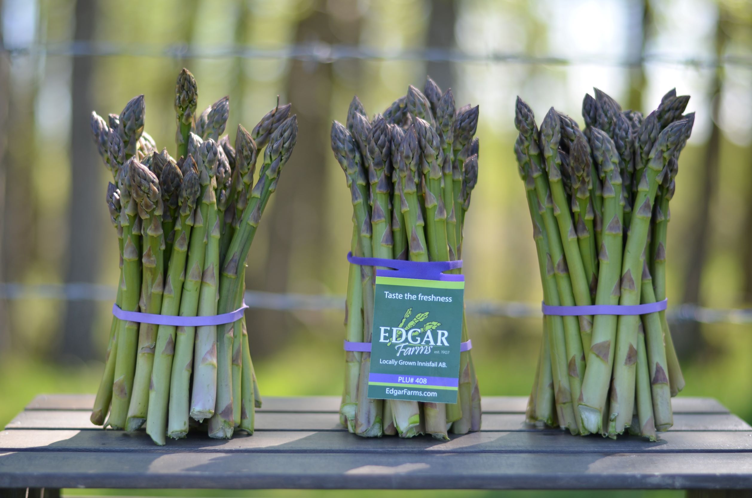 An image of Edgar farms Farmers Market. 