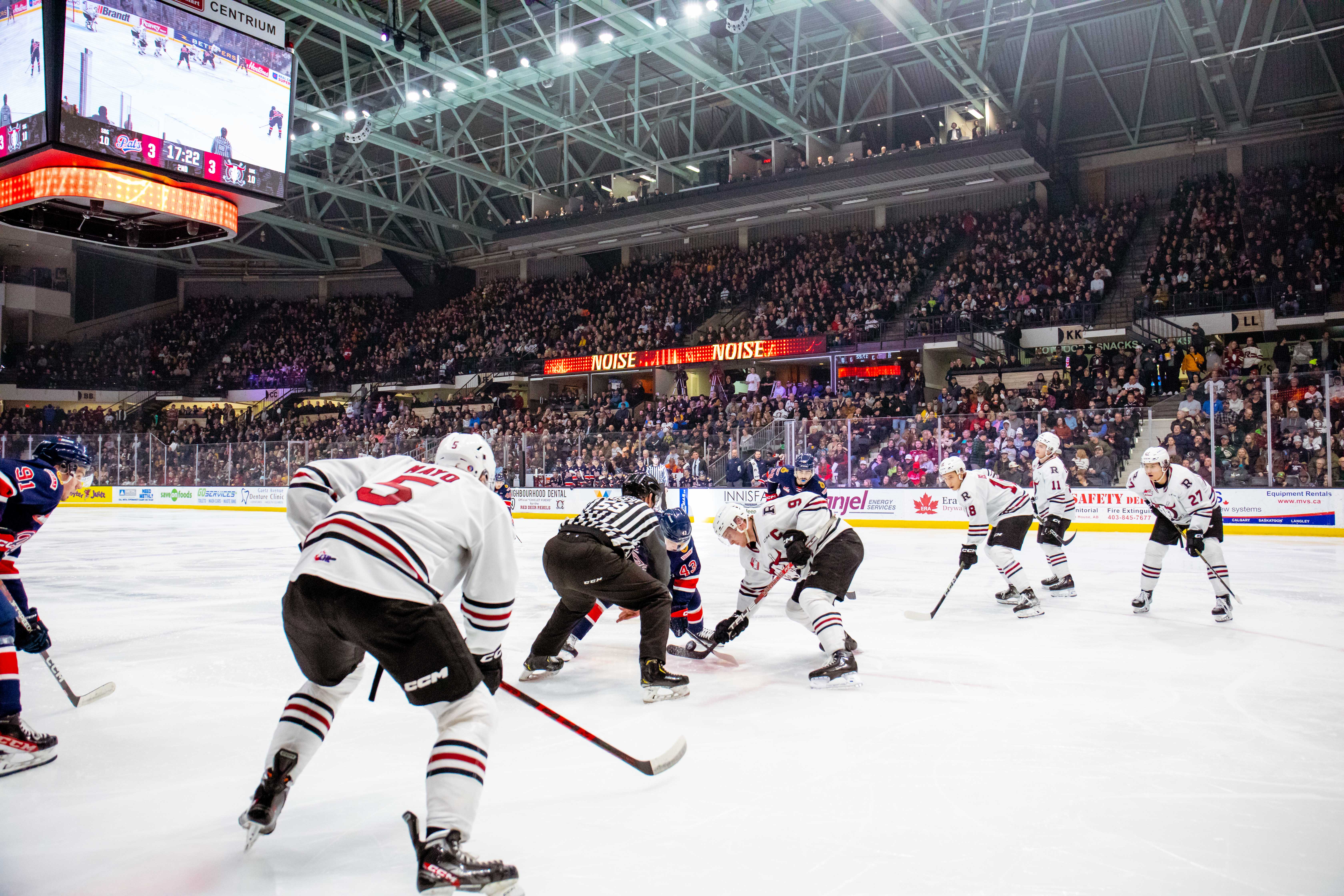 Image of the Red Deer Rebels 