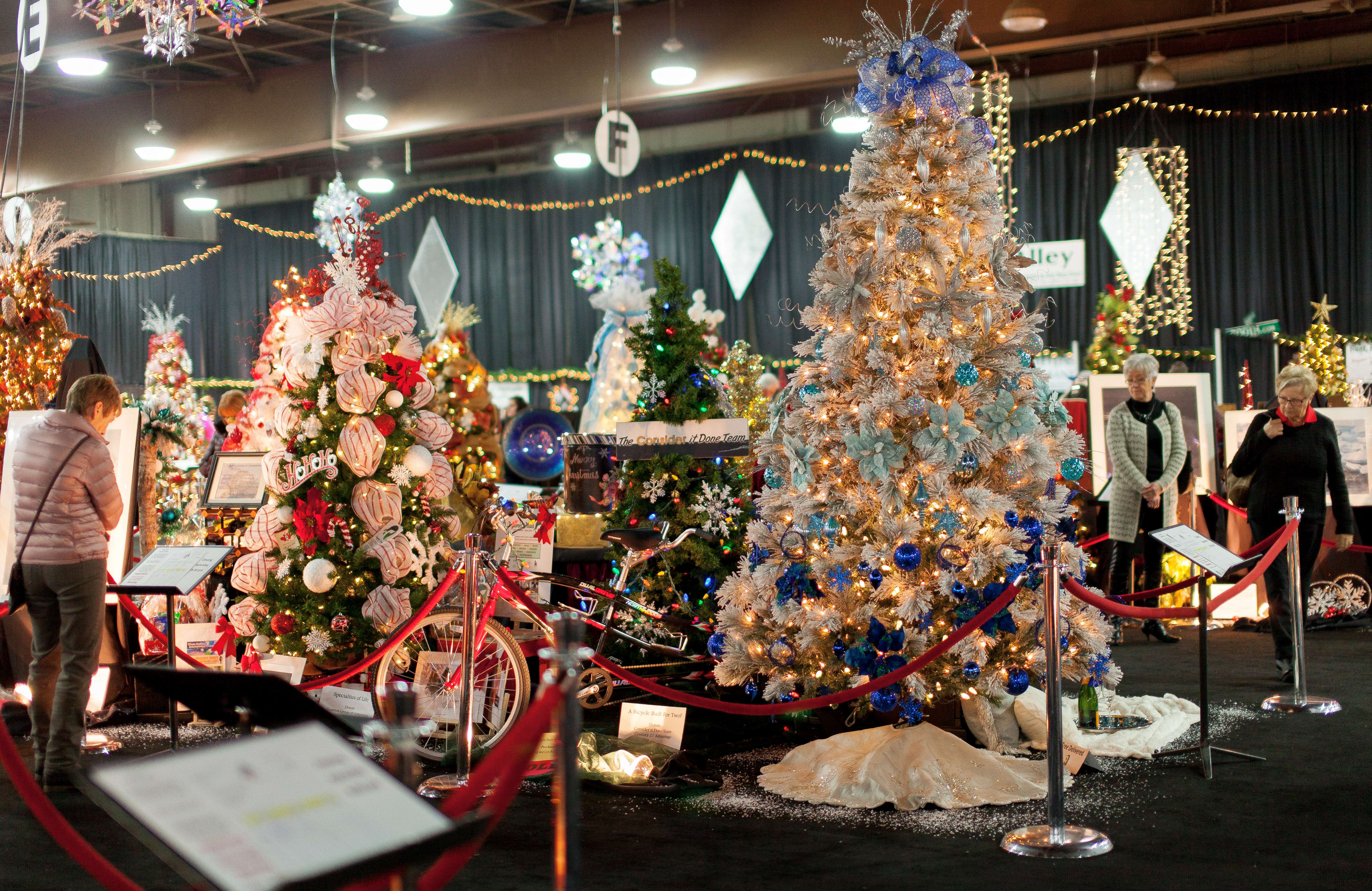 Image of the festival of trees