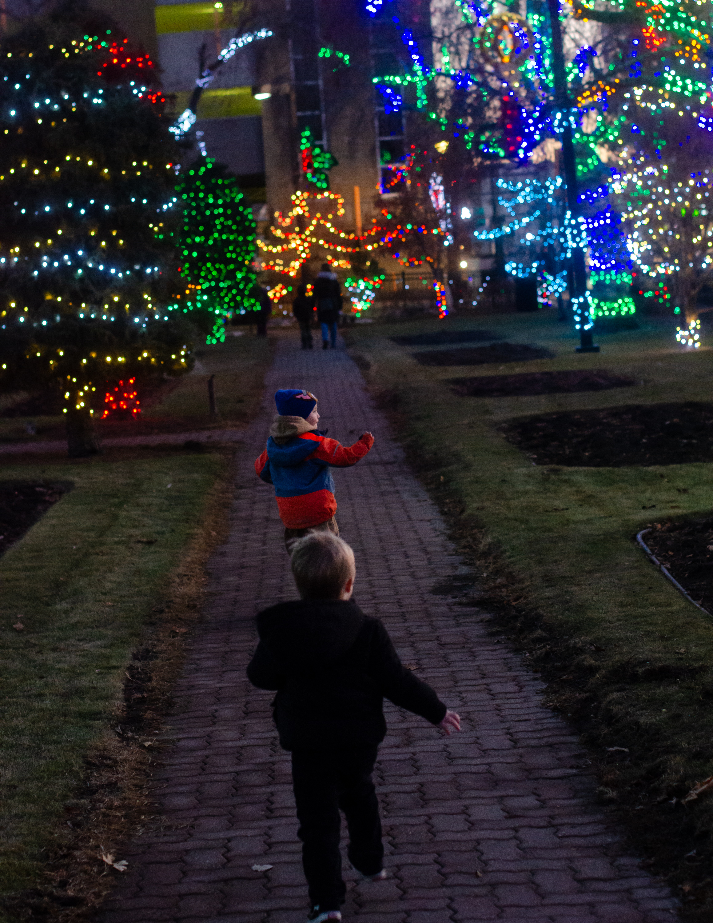 Image of Downtown Red Deer City Hall Christmas lights