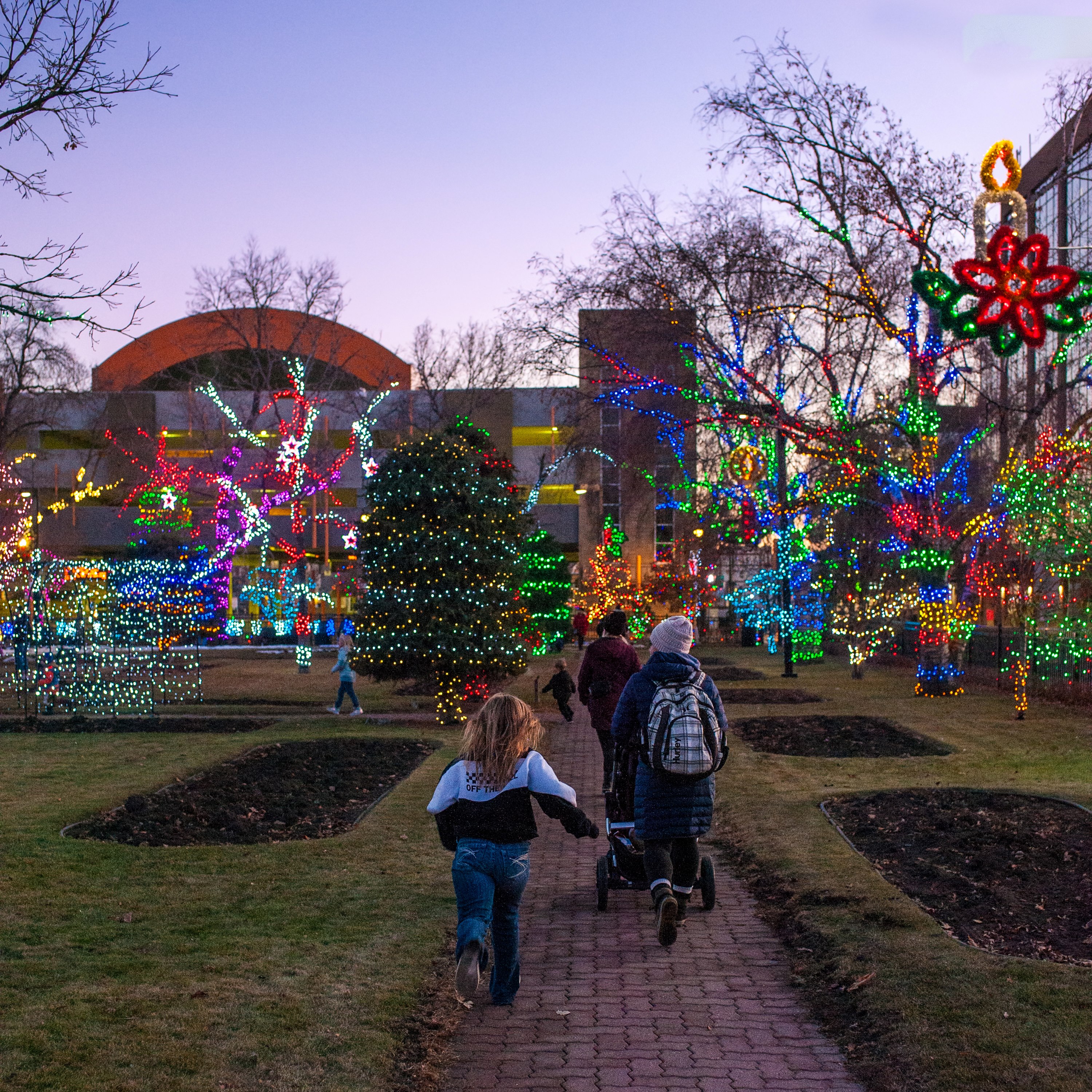 Image of Christmas lights at city hall park