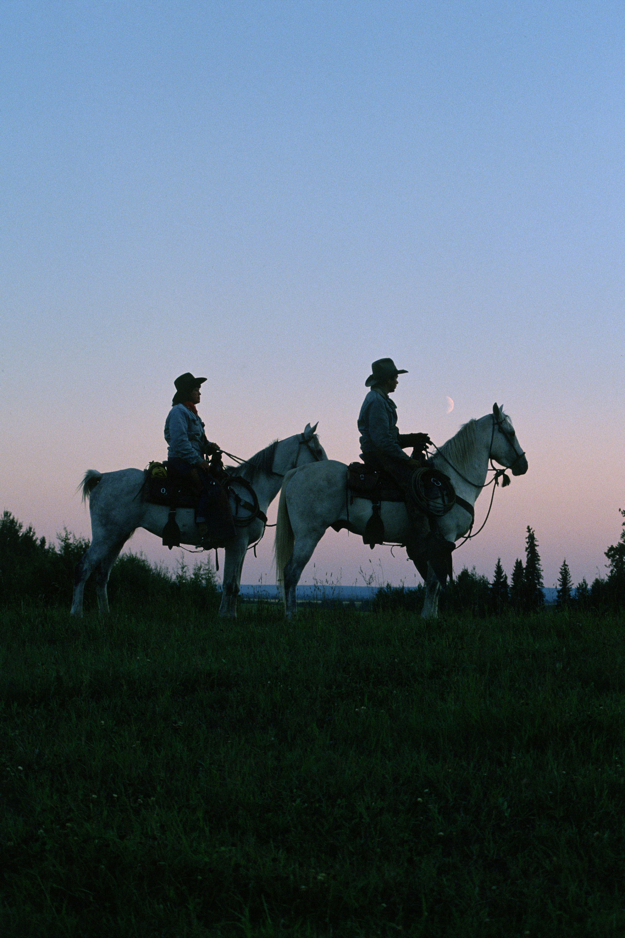 Horseback Riding in Red Deer