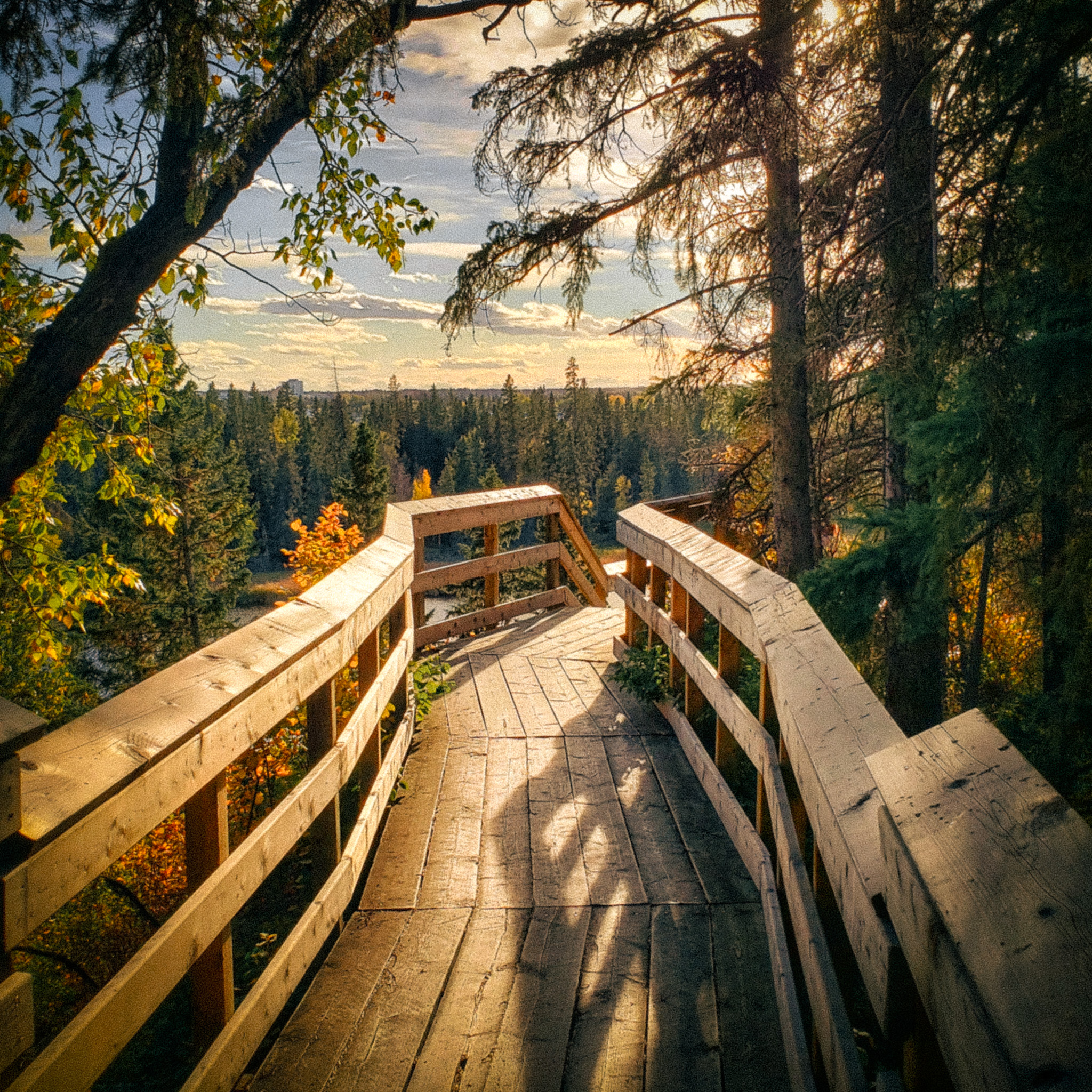 Fall walk at Kerry Wood Nature Centre.