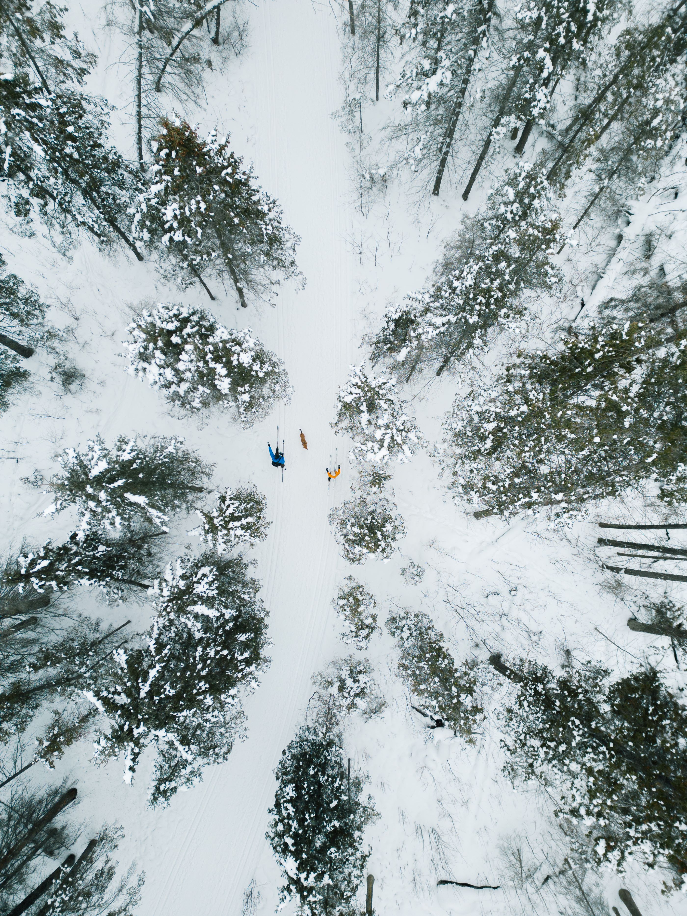 Cross country skiers in Red Deer, Alberta. 