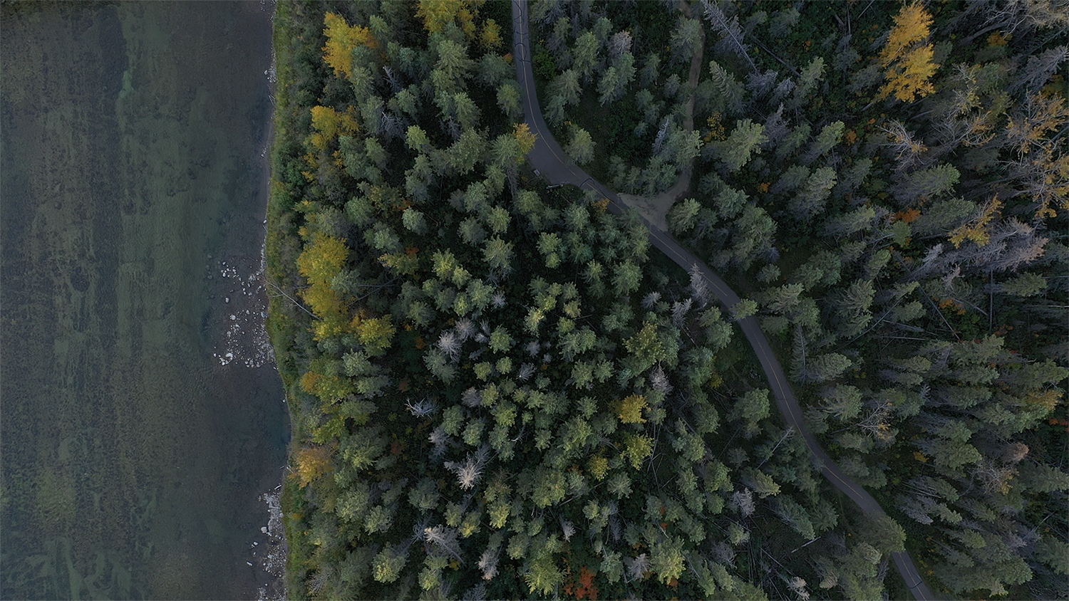 Beautiful summer aerial shot of Red Deer's river valley.